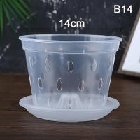 Maceta De Flor Transparente Con Agujeros Para Jardín Y Orquideas Accesorios De Maceta De Plástico Moderno Con Drenaje - details 9