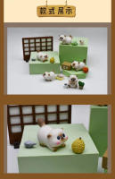 Caja Sorpresa Kawaii Azuki Con Figuras De Perro Y Gato Decoraciones De Muñeca De Acción Para Niños Regalo De Moda Diaria Pequeña Siam - details 2