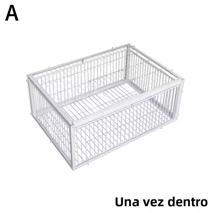 Cage Automática Para Pájaros Conejos Ratones Y Ratas Caja De Entrada Sola Sin Salida Cages Portátiles De Hierro Grueso Para Recolección De Pigeons - 1