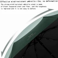 Paraguas Automático Plegable Mini 2024 Anti UV Protección Sol Y Lluvia Moda Portátil Resistente Al Viento Y La Luz Paraguas De Sombrilla - details 15