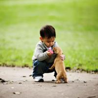 KONG Puppy juguete rellenable para cachorros XS - details 7
