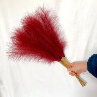 10Pcs 55cm Mini Pampas Sintética Hierba Artificial Planta Falsa Rama De Juncos Para Decoración De Hogar Sala De Estar Cocina Bodas Estilo Boho - details 8
