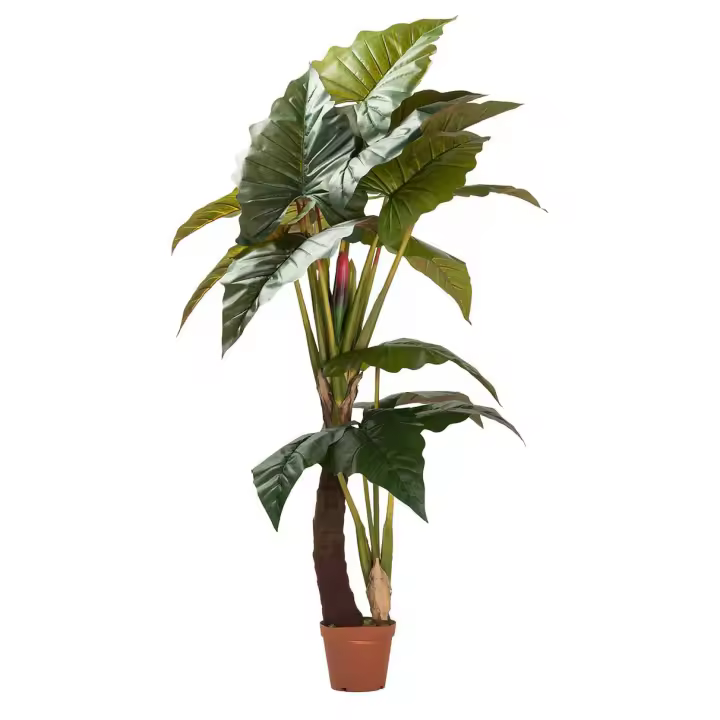 Adda Home - Planta Colocasia Esculenta Artificial - 1