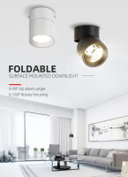 Luz De Techo LED Dimmable Tricolor Para Interiores 220V Decoración Para Cocina Pasillo Sala De Estar Luz Spot LED De Alta Potencia - details 0