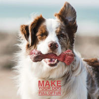 Juguetes Para Morder Para Perros Indestructibles Durable En Forma De Hueso De Goma Natural Para Limpieza De Dientes Para Mordedores Agresivos - details 3