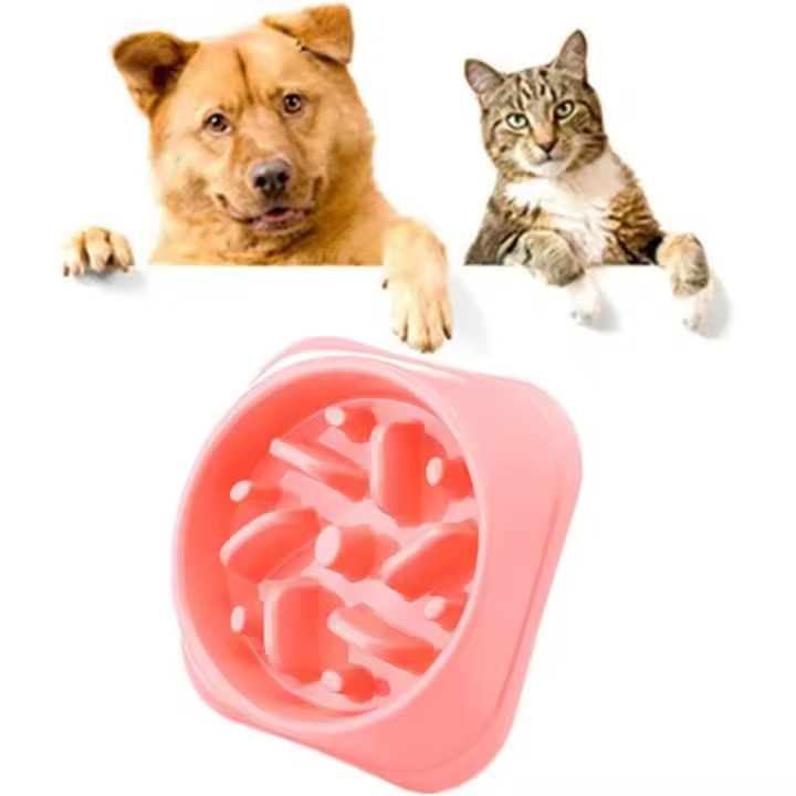 Comedero para Gatos y Perros de Rompecabezas No Tóxico con Diseño Brillante - 1