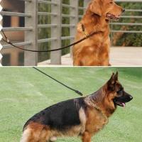 Correa De Perro De Cuero Genuino 2/3M Para Entrenamiento Y Caminar Resistente Y Suave Para Perros Medianos Y Grandes Color Marrón - details 1