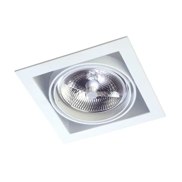 LEDS·C4 Downlight Multidir One LED 180Mm Trim 100W 40º Blanco IP20 996Lm - 1