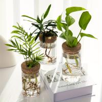 1pc Vaso De Cristal Para Plantas De Esterilidad Decoración De Escritorio Estación De Propagación De Plantas Y Vaso Para Flores - details 0