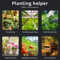 Medidor De pH Del Suelo 6 En 1 Con Medidor De Luz Solar Humedad Ambiental Temperatura Y Nutrición Fertilitzador Analizador De Suelo Para Jardín - details 2