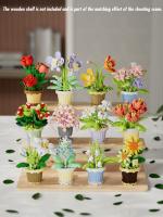 Juego De Construcción De Micro Bloques De Flores DIY Set De Decoración De Escritorio Para Niños Juguetes De Artesanía De Plástico Unisex - details 4