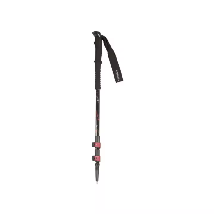 Bastón Monte Ternua Extensible Fibra de Carbono - 1
