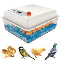 Kit de incubadora de 20 huevos para cría doméstica de pollo, ganso, pato, pájaro, incubadora de huevos - details 0