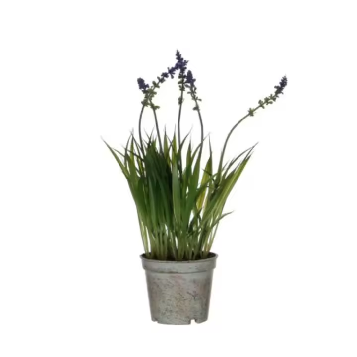 Planta Artificial Lavanda Morada en Maceta 30cm - Decoración Perfecta - 1