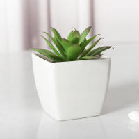 1PC Mini Suculentas Artificiales En Maceta Para Decoración De Escritorio Y Estante De Libros Oficina Planta De Silicona Para Exposición - details 4