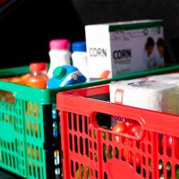 ZYLX SHOPPING - Caja de Almacenaje Plegable 32L PlasticForte – Organizador Resistente y Portátil para Hogar, Compras, Ropa y Juguetes – 4 Colores - details 5