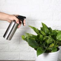 Botella De Riego Para Plantas TOPINCN 250ml 350ml 550ml Acero Inoxidable 304 Multifuncional Con Bomba De Presión Jarrón De Agua Para Flores - details 3