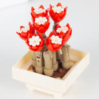Bloques De Construcción DIY MOC Plantas Succulentas Cactus Gypsophila Bonsái Jardín Modelo Romántico Para Niños Kit De Juguetes - details 10