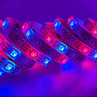 Tira De LED RGB Inteligente WS2812B 5m/Roll 30/60/144leds/m Negra/Blanca PCB IP30/IP65/IP67 5050 Individually Addressable Para Iluminación Inteligente - details 10