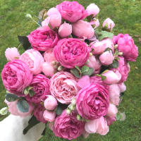 1 Rama De Púas De Seda En Blanco Para Decoración De Hogar Accesorios De Boda Fiesta DIY Pompones Rosas Artificiales Plantas Falsas Para Scrapbook - details 0