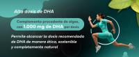 Omega 3 Vegetal - 60 perlas veganas - 1000mg de DHA por Dosis - Contribuye al Funcionamiento Normal del Cerebro - Con Vitamina E - Favorece el mantenimiento óptimo de la visión - SEVENS NUTRITION - details 3