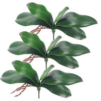 1Pcs Gran Tamaño Artificial Filo De Orquídea Falsa En Latex Toque Real 5 Pétalos Verde Para Jardín De Flores Simulación De Moth - details 0