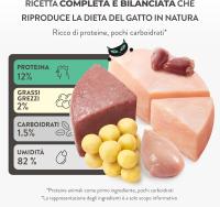 Schesir After Dark, Sabor Pollo y huevo de codorniz en caldo alimento húmedo Completo para Gatos Adultos (latas 12 de 80 g) - details 0