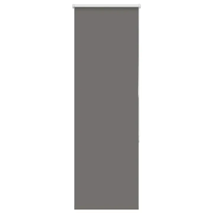 Estor Enrollable Opaco gris 40x130 cm Tela Ancho 35,7 cm - 1
