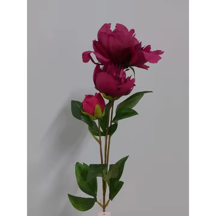 Peonía X3 65cm Fucsia - 1