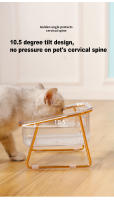 Tazón Doble Para Gatos Con Altura Y Soporte Dorado Alimento Agua Transparente Resina Cuadrado Para Perros Suministros De Alimentación - details 4