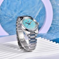 Reloj De Pulsera De Moda Para Hombres PAGANI DESIGN 2024 38mm VH31 Cuarzo Acero Inoxidable Saphire Resistente Al Agua 10Bar Luminescente C3 - details 19