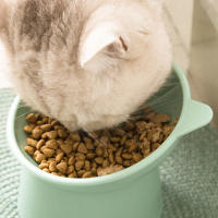 Tazón De Alimentos Para Gato Elevado Antideslizante Anti-Vómito Para Gatos Planos Tazón Inclinado De Alimento Y Agua Para Mascotas - details 7