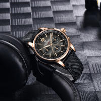 Reloj De Pulsera De Cuarzo Para Hombre PAGANI DESIGN 2022 Lujo Casual Resistente Al Agua 100M Cristal De Zafiro Acero Inoxidable VK63 - details 13
