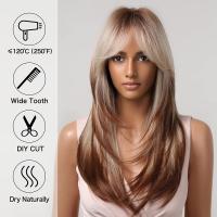 Pelucas Sintéticas De Encaje ALAN EATON Para Mujeres Rubia Con Mechas Marrón Y Corte Con Franja Peluca Larga Recta Ombre Heat Resistant - details 2