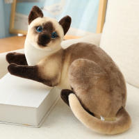 Muñeco De Peluche Siamese Realista Para Decoración Del Hogar Y Regalo Para Niñas Juguetes De Mascotas Corto De Algodón Relleno De Poliéster - details 5