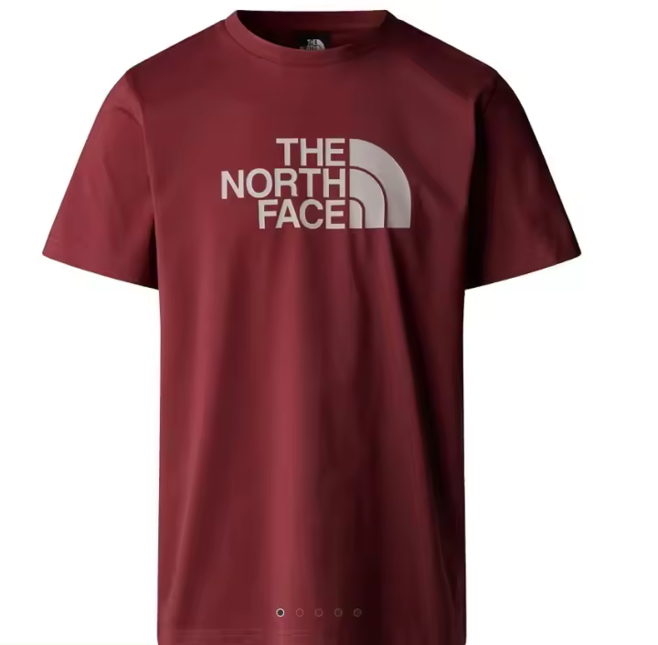 Camiseta THE NORTH FACE Mens S/S Easy Tee NF0A8A6C58C1 Granate - 1