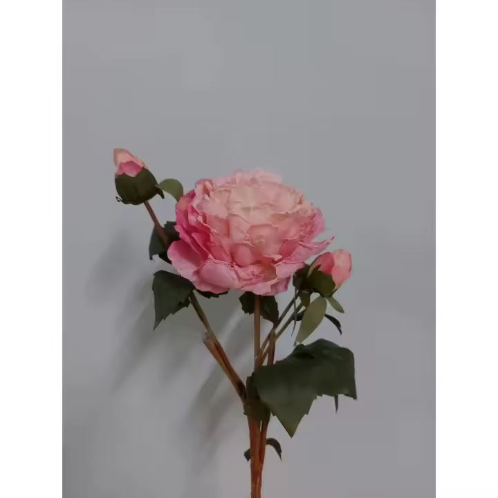 Peonía con Bud 55cm Rosa - 1
