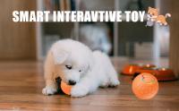 Bola De Juguete Inteligente Para Perros Y Gatos Bola Rodante Automática Con Luz RGB Juguete Interactivo Para Mascotas USB - details 0