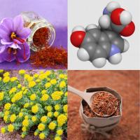 Relax Naturkea: Reduce Ansiedad y Estrés - Mejora Estado de ánimo - Aswhagandha y Magnesio - 30 cápsulas vegetales - details 0