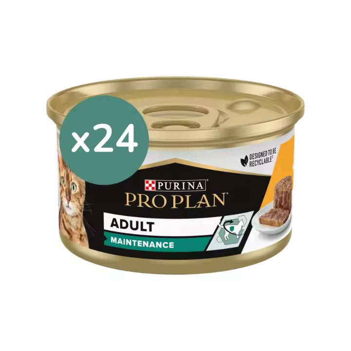 PRO PLAN - Adult Maintenance (24x85 gr) - Comida Húmeda para Gatos Adultos (Pollo) - 1