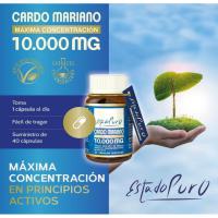 Tongil PACK 2 CARDO MARIANO Extracto de Semillas Concentrado 25:1 con 80% Silimarina y Colina  Apoyo para el Hígado, Limpieza y Detox - details 2