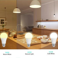 2PCS Bombilla LED E27 E14 B22 220V 3W 6W 9W 12W 15W 20W Luz Super Brillante Para Hogar Oficina Tienda Garage Almacén - details 6
