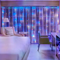 Luces De Encaje LED Con Control Remoto 8 Modos Decoración Para Jardín Casa Patio Fiesta Bodas Exterior Forma DIY Fuente De Alimentación DC Voltaje 5V - details 7