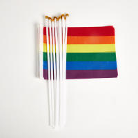 10PCS Banderas Arcoíris Pequeñas Y Fáciles De Sostener Para Festival Y Desfile De Orgullo Gay Material Plástico - details 2