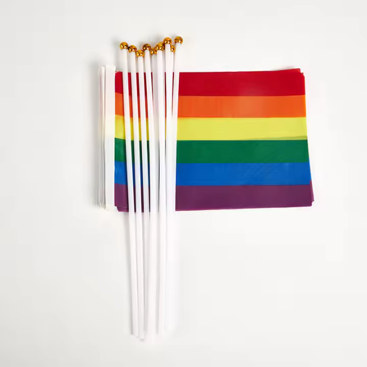 10PCS Banderas Arcoíris Pequeñas Y Fáciles De Sostener Para Festival Y Desfile De Orgullo Gay Material Plástico - 1