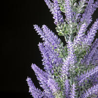 Plantas Artificiales De Lavanda 36/45cm Flores De Plástico Realistas Para Decoración De Bodas Y Oficina Color Morado - details 3