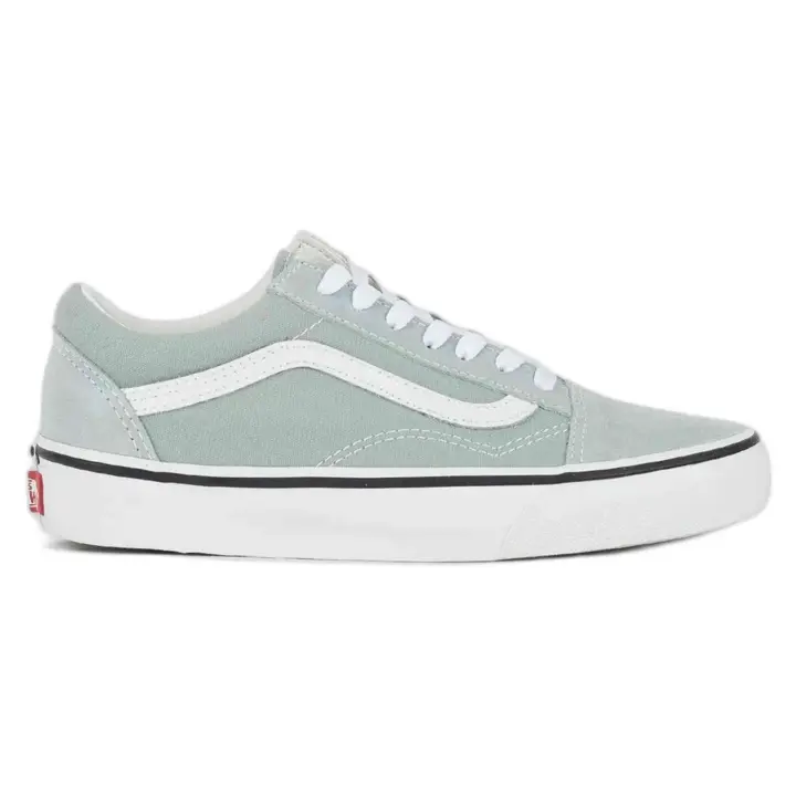 Calzado Sportswear marca Vans modelo Vn000Cr5Epo1 para hombre en color gris claro - 1