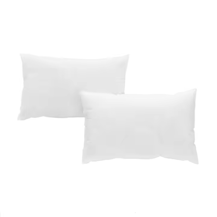 GUY LAROCHE - 2 Rellenos de cojín de fibra hueca 30x50 cm - 1