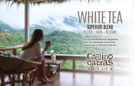 Te Blanco Premium Superior - Blend Exclusivo con Pai Mu Tan & Silver Needles - Antioxidante Natural Potente - Té Gourmet Recolectado a Mano - Relajante y Detox, 70g - details 5
