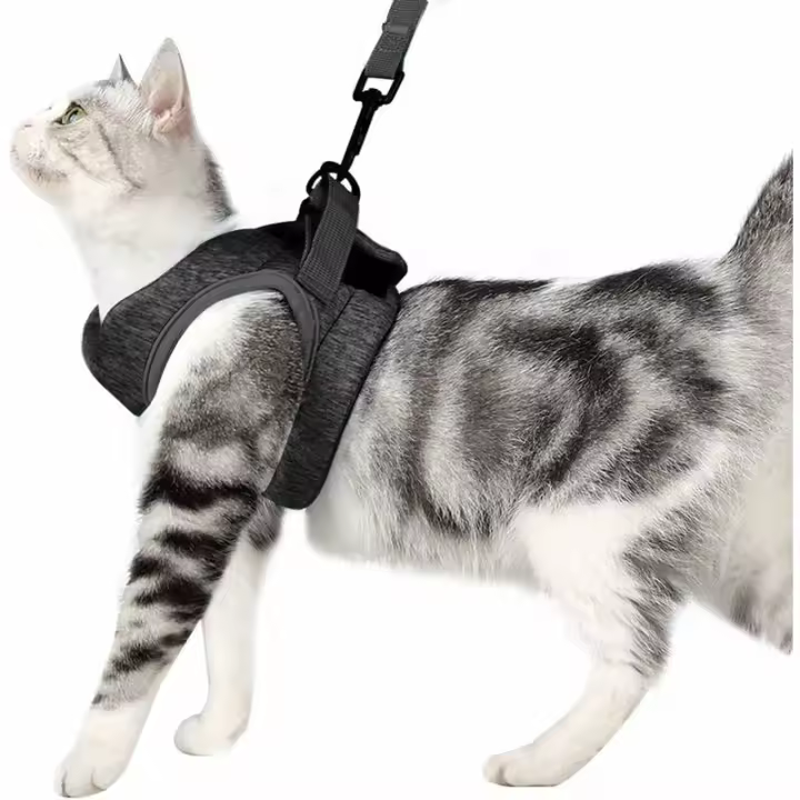 Arnés y correa para gato ultraligeros, Collar para gatito, chaqueta para caminar para gatos suave y cómoda, para correr, Convie a prueba de fugas - 1
